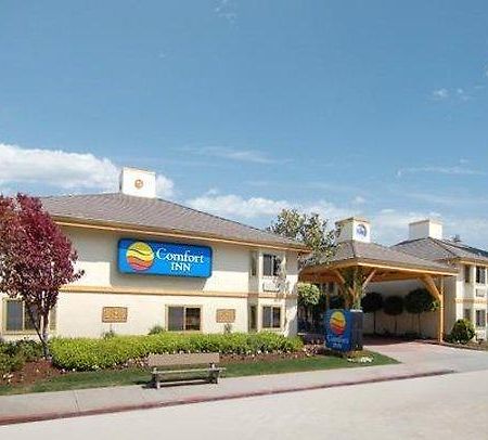 Comfort Inn Santa Cruz Bagian luar foto